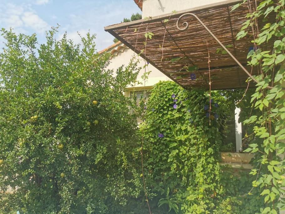 Maison Avec Piscine Dans Village Provencal. Courthezon Exterior photo